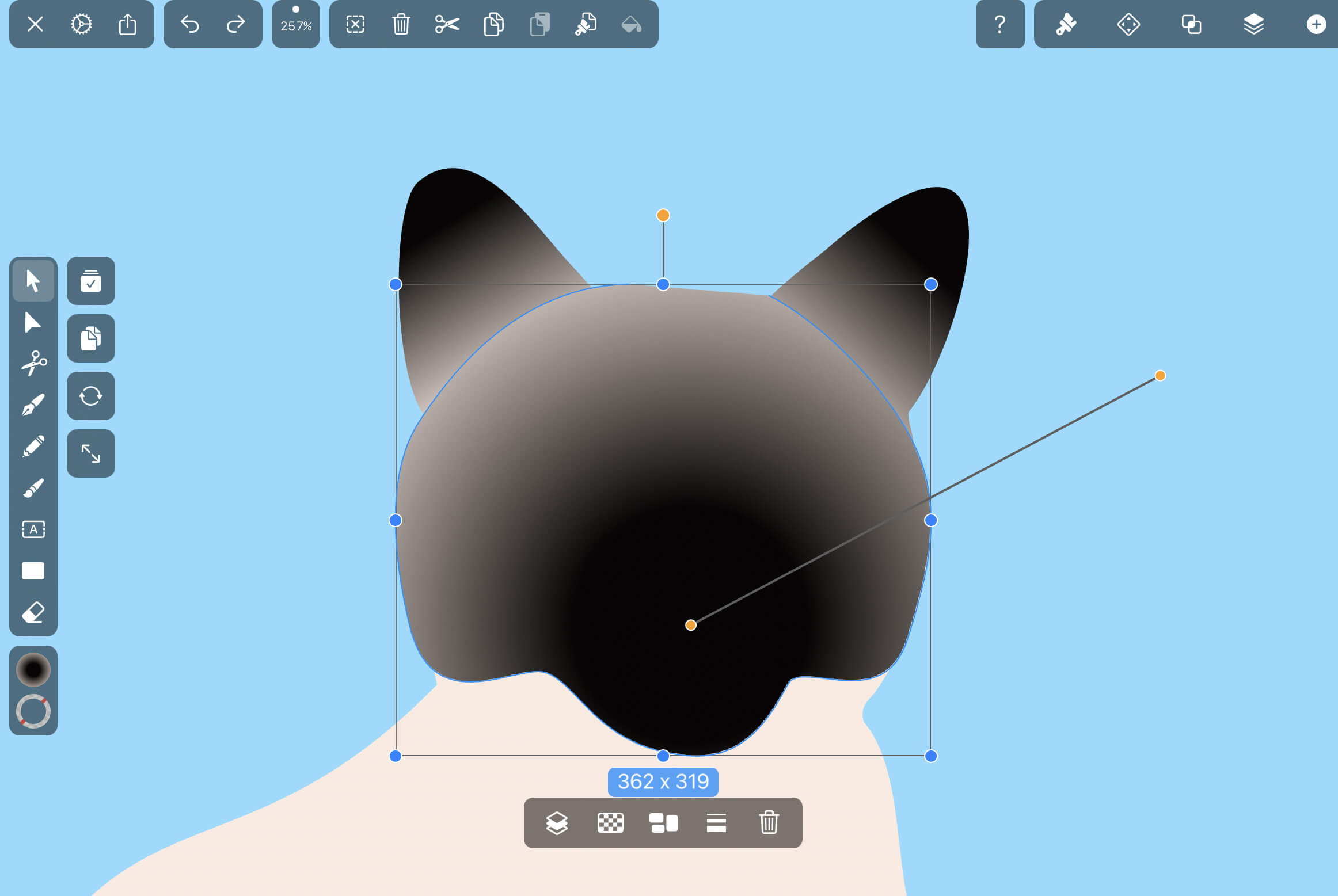 Draw a cat's head and ears