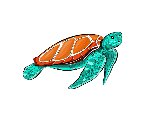 Vector illustration of a sea turtle