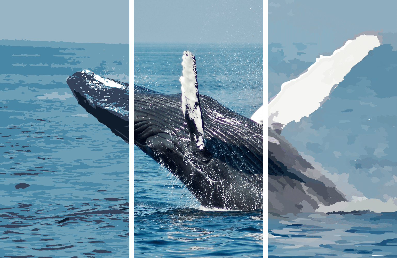 Whale triptychon
