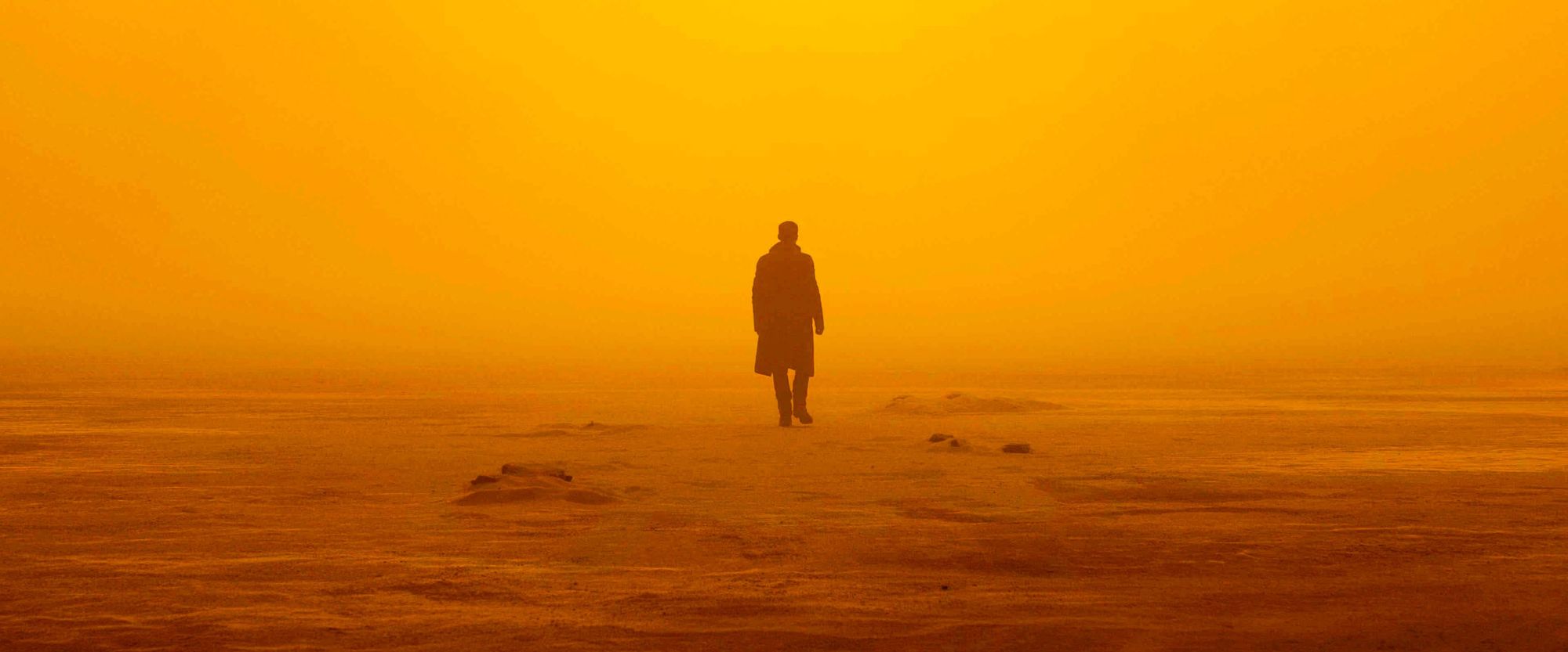Man walking solitary in the desert