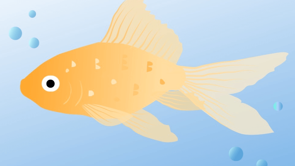 How to draw a fish | Linearity