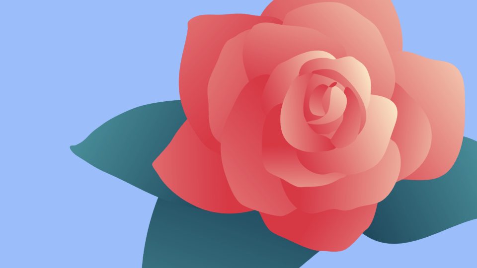 How to draw a rose | Linearity Curve (formerly Vectornator)