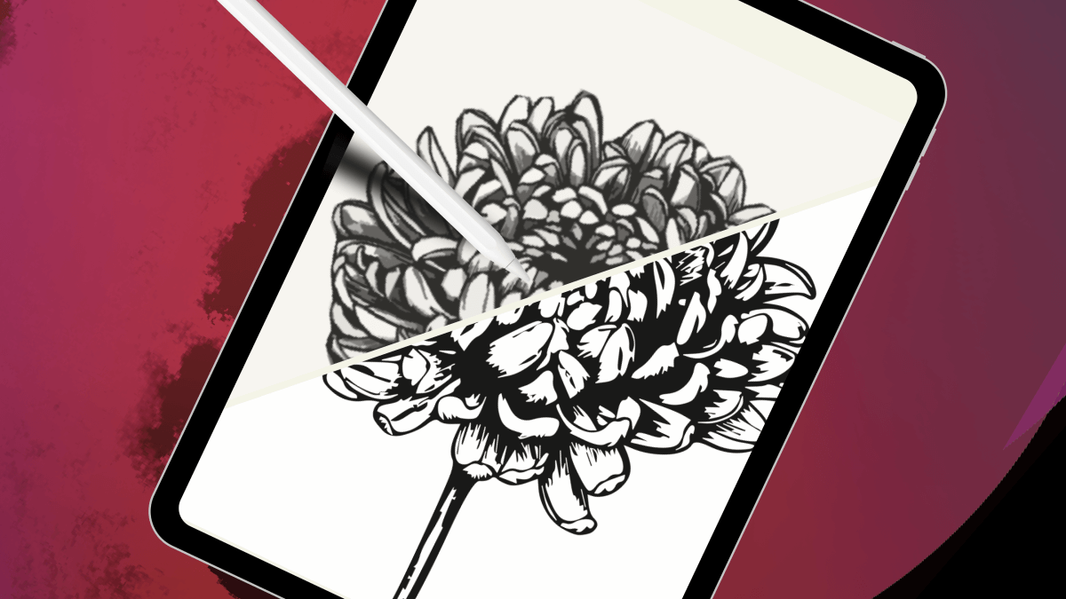 An apple pencil, an iPad, showcasing Vectornator's Auto Trace feature with a black and white ink drawing of a flower. 